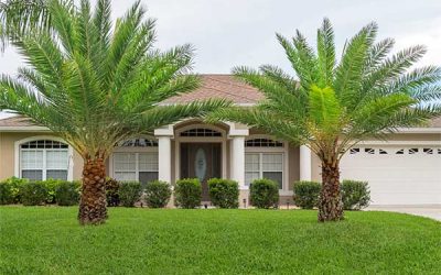 Hurricane lawn preparedness tip… #2 Check Your Yard’s Drainage.