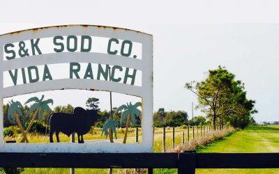 Some history about S&K sod.