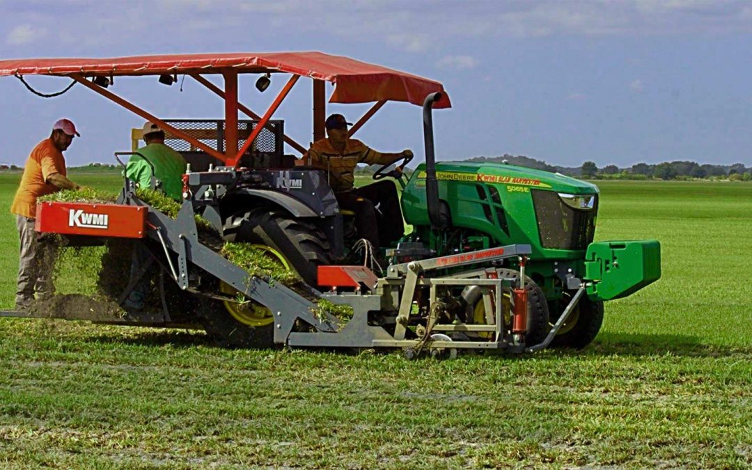 An S & K Sod professional can visit your home or business.