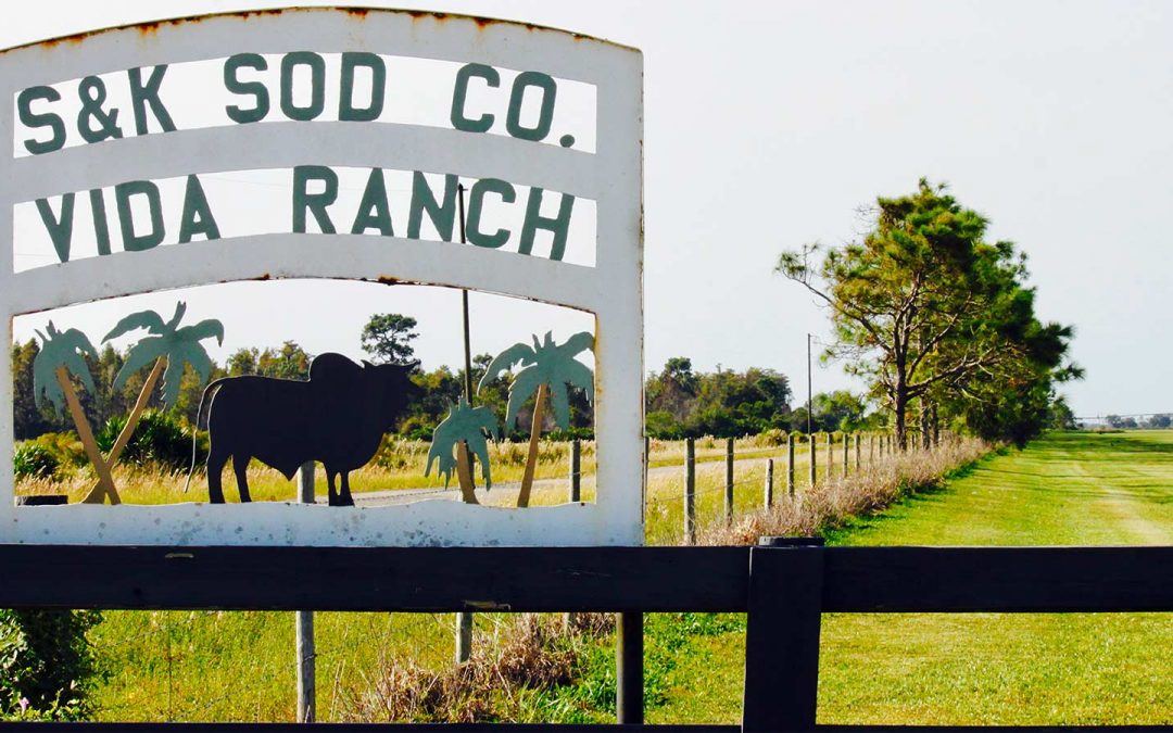 S & K Sod professional can visit your business or home.