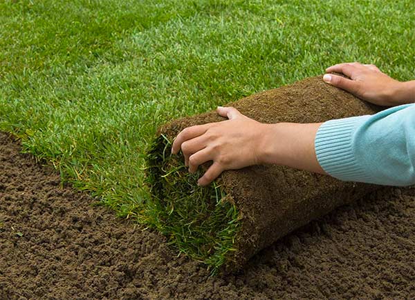 Polk County Sod Company