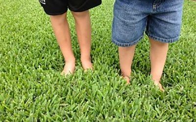 Hurricane lawn preparedness tip… #4 Clean up your yard.