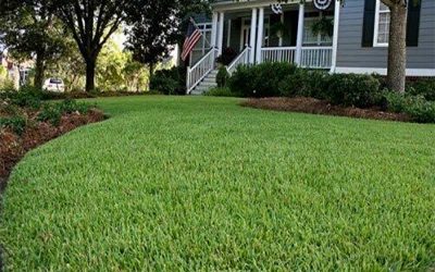 Hurricane lawn preparedness. Clean up your yard.