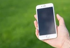 How to Get a Beautiful Lawn Instantly.