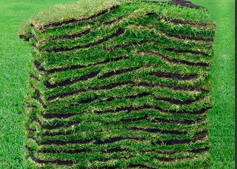 Hurricane lawn preparedness tip… #6 Restore your lawn with sod.