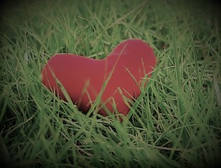 Happy Valentines Day 2020