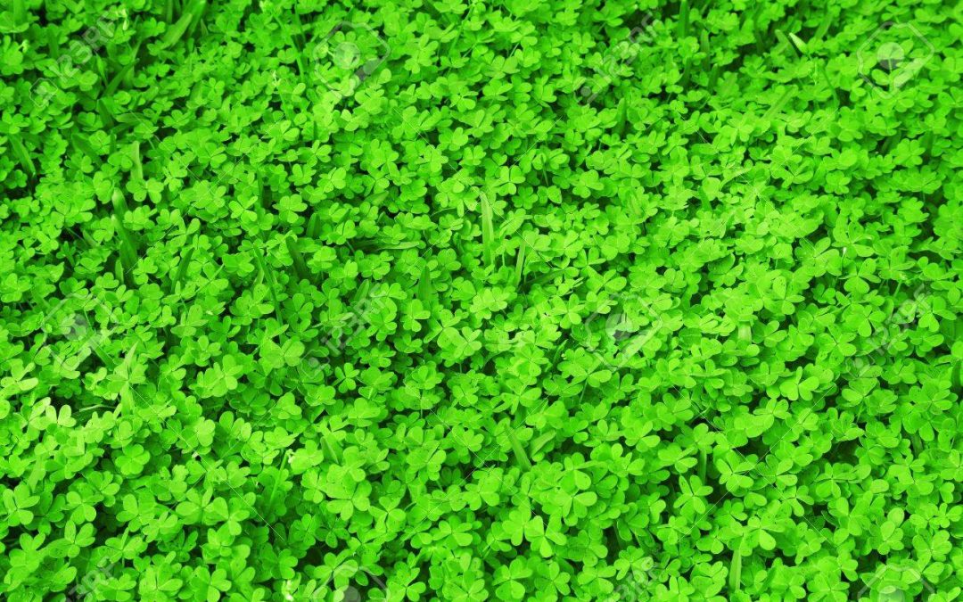 Happy Saint Patrick’s Day 2020.