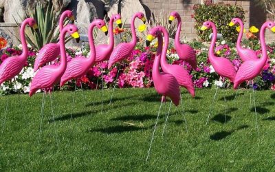 Don’t be fooled this April 1, 2022.