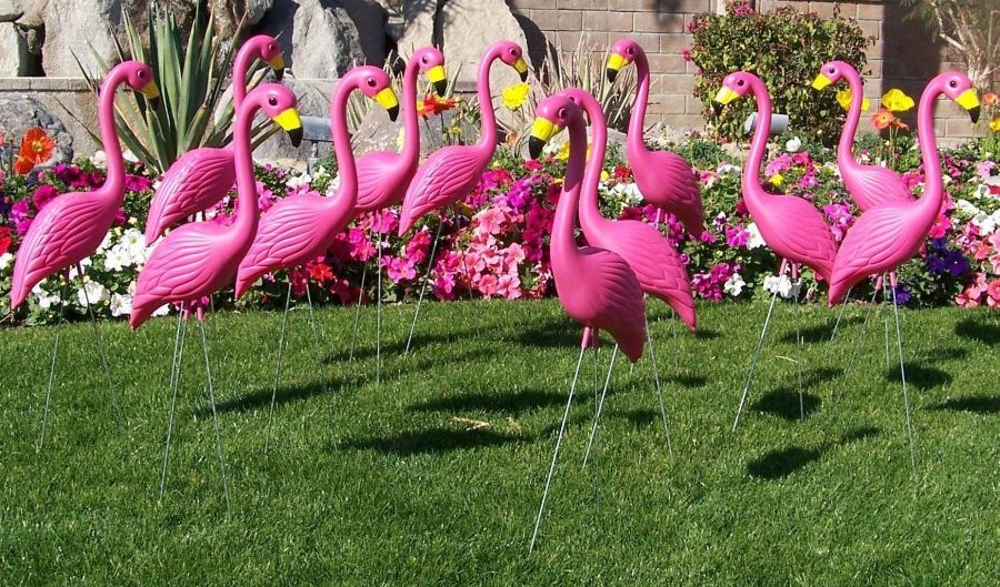 Don’t be fooled this April 1, 2021.