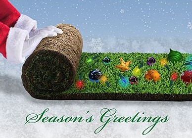 Merry Christmas and Happy Holidays 2020