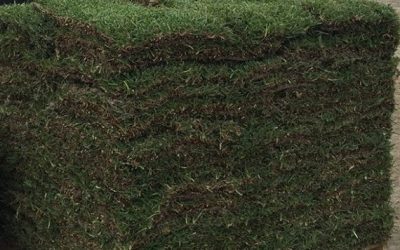 Yes, you are able  get sod delivered.